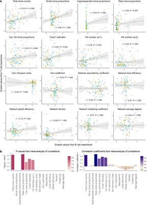 Exploration of shared features of B cell receptor and T cell receptor repertoires reveals distinct clonotype clusters